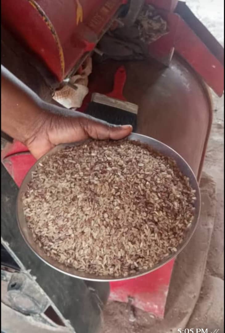 Raw rice problem